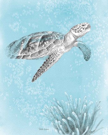 Framed Coastal Sea Life I v2 Print