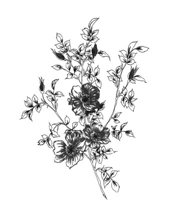Framed Sketchbook Flowers on White II Print