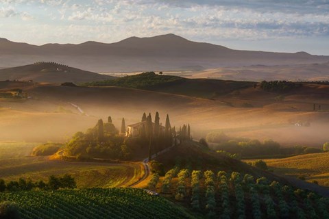 Framed Il Belvedere Print