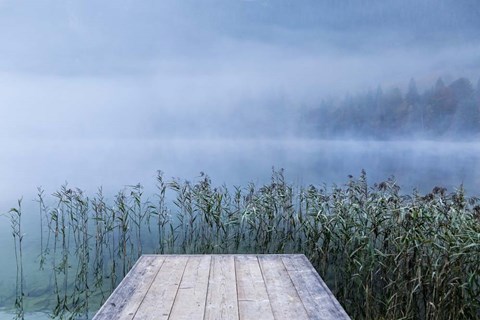 Framed Surrounded Print