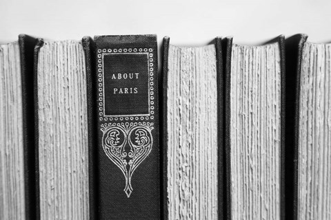 Framed About Paris Print