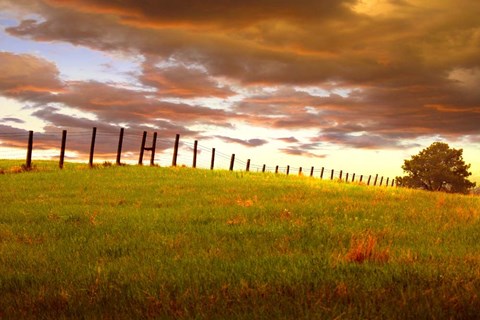 Framed Fenceline, South Dakota Print