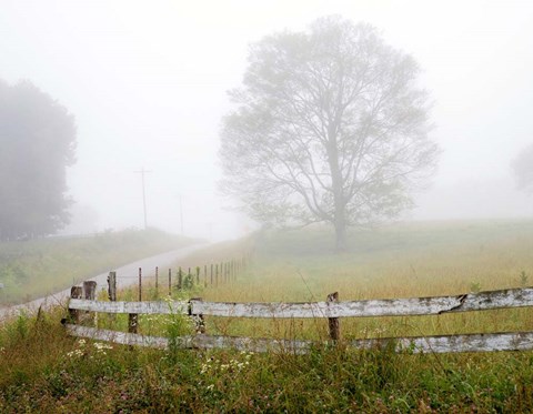 Framed Foggy Rural Scene Print