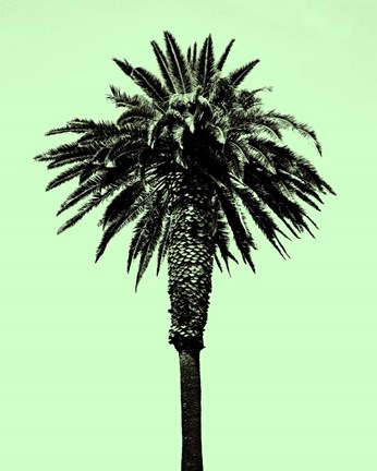 Framed Palm Tree 1996 (Green) Print