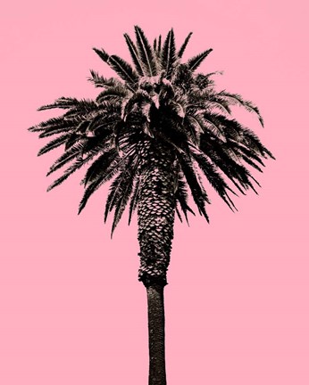 Framed Palm Tree 1996 (Pink) Print