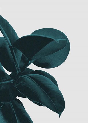 Framed Long Way Home Print