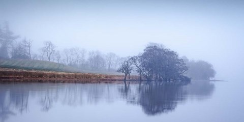 Framed Autumn Haze, Loch Eck Print