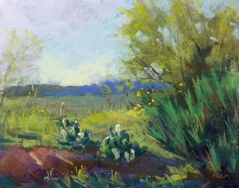 Framed Above San Angelo Print