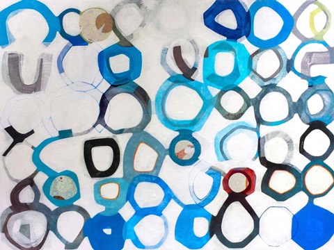 Framed Evolutions Print