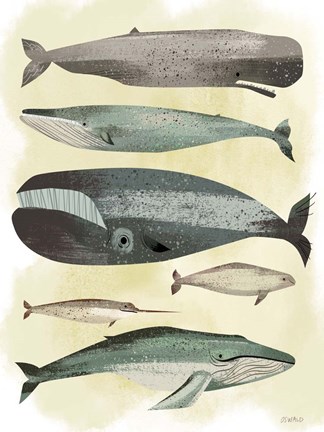 Framed Whales Print