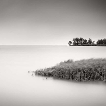 Framed Makkum II Print