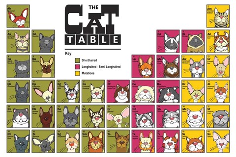 Framed Cat Table Print