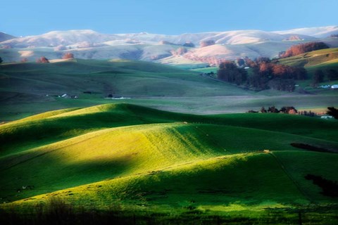 Framed Day in August Print