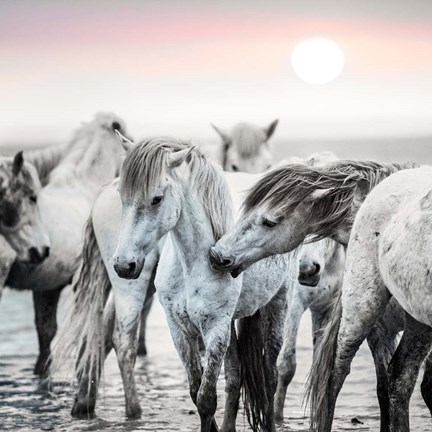 Framed Little Nip Print
