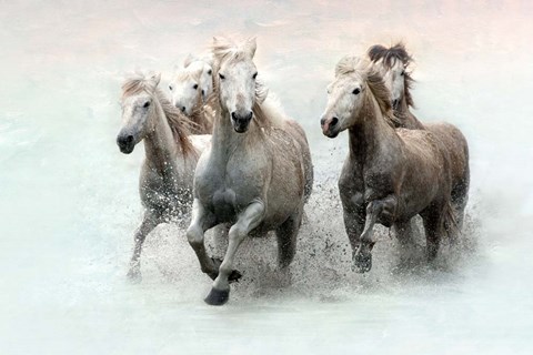 Framed Run and Splash Print