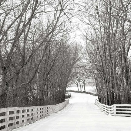Framed Country Lane in Winter Print