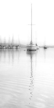 Framed Nautical No. 5 Print