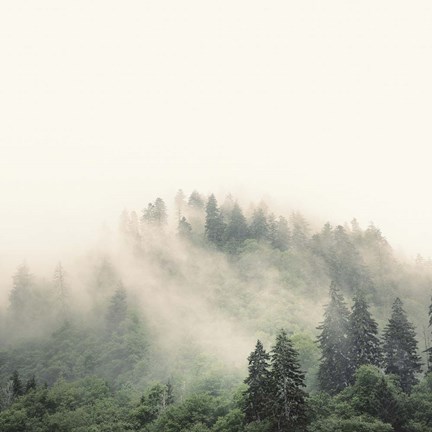 Framed Smoky Mountains Print