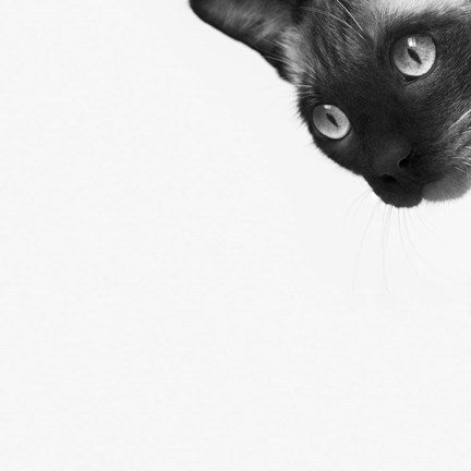 Framed Be Brave Print