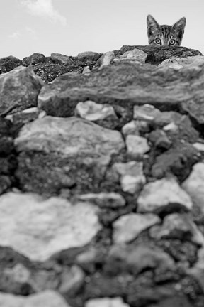 Framed C&#39;est Moi! Print