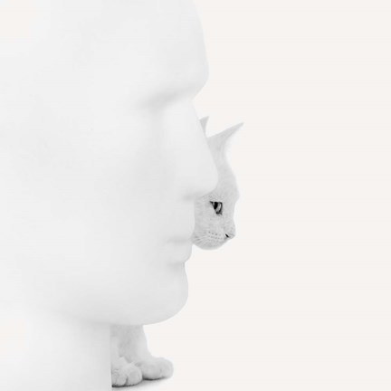 Framed Mystique Print