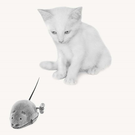 Framed Qu est-ce que c&#39;est? Print