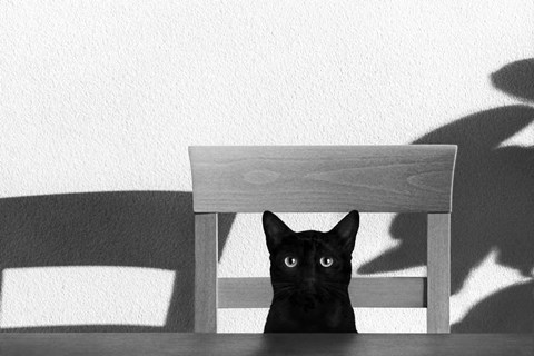 Framed Where Is My Coffee? Print