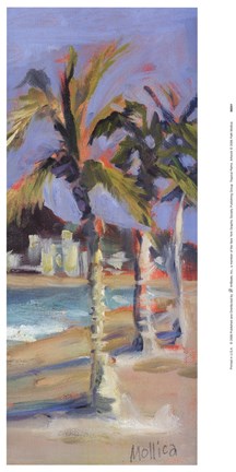 Framed Tropical Palms Print
