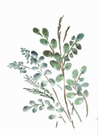 Framed Farmhouse Botanicals II Print