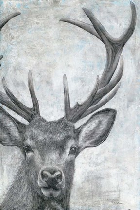Framed Portrait of a Deer Print