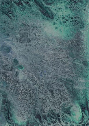 Framed Innate Sense II Print