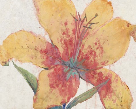 Framed Blooming Lily Print