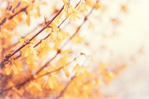 Framed In the Beginning Print