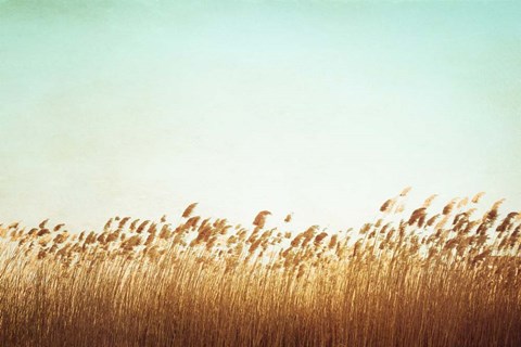 Framed Swaying Print