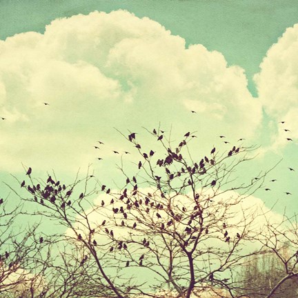 Framed Birds of a Feather Print