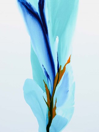 Framed Spring&#39;s Calling Card Print