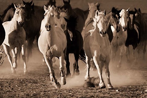 Framed About Face Print