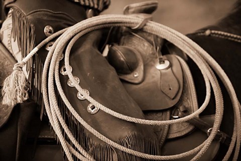 Framed Cowgirls Lasso Print