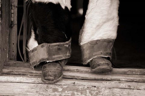 Framed Furry Chaps Print