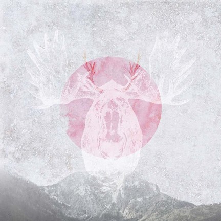 Framed Moose 1 Print