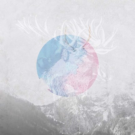 Framed Moose 2 Print