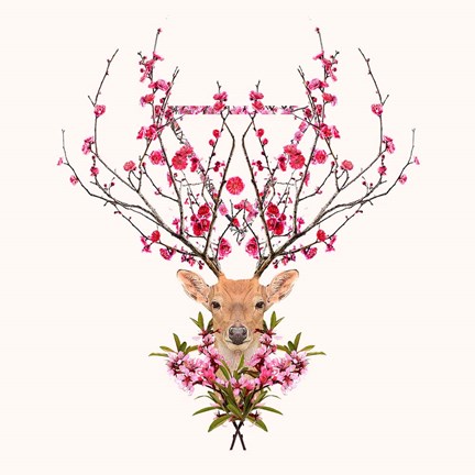 Framed Spring Deer Print