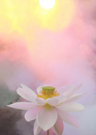 Framed Beauty at Dawn Print