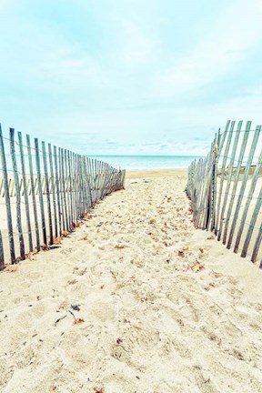 Framed Within Reach Print