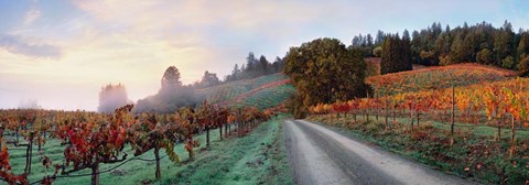 Framed Storybook Mountain Print