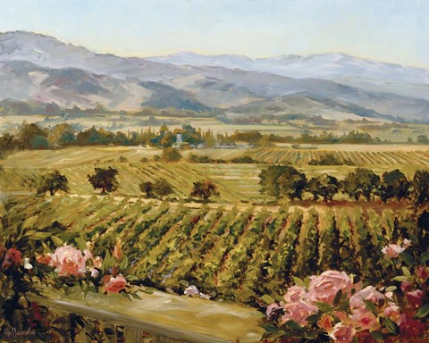 Framed Vineyards to Vaca Mountains Print