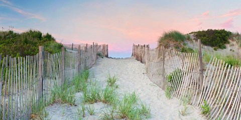 Framed Crescent Beach Path Print