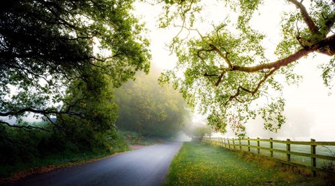 Framed October&#39;s Fog Print
