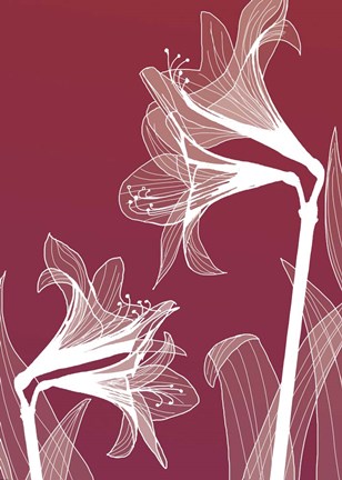 Framed X-ray Flowers Red Print