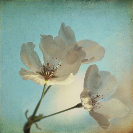 Framed Spring Sings Print